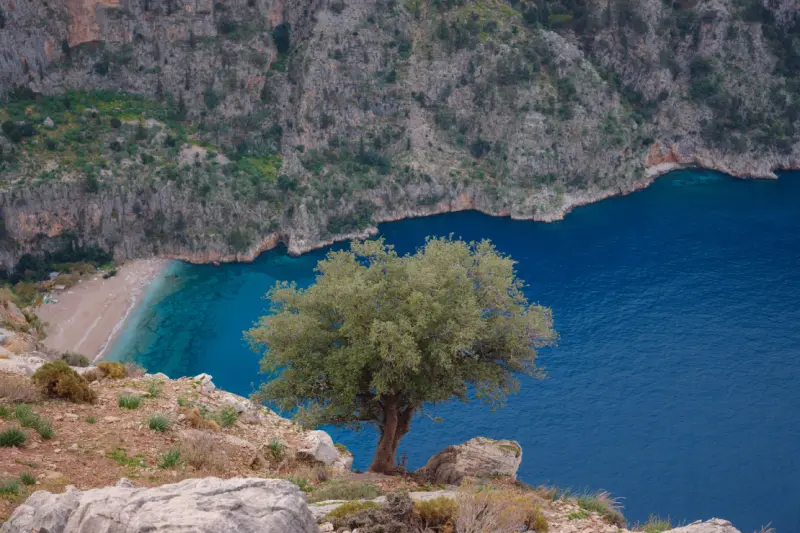 Kelebekler Vadisi Türkiye seyahati